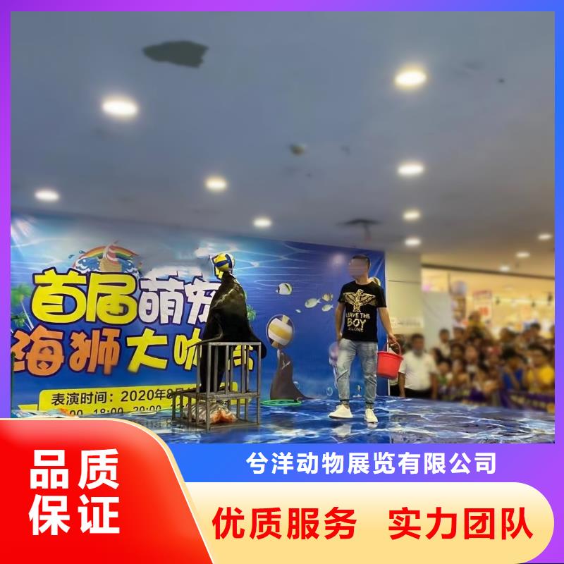 海洋展出租公司活跃气氛