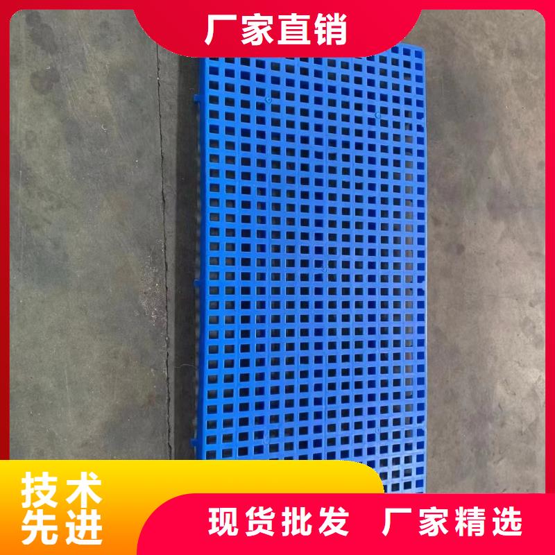 【塑料托盘】-塑料拍子支持定制贴心售后