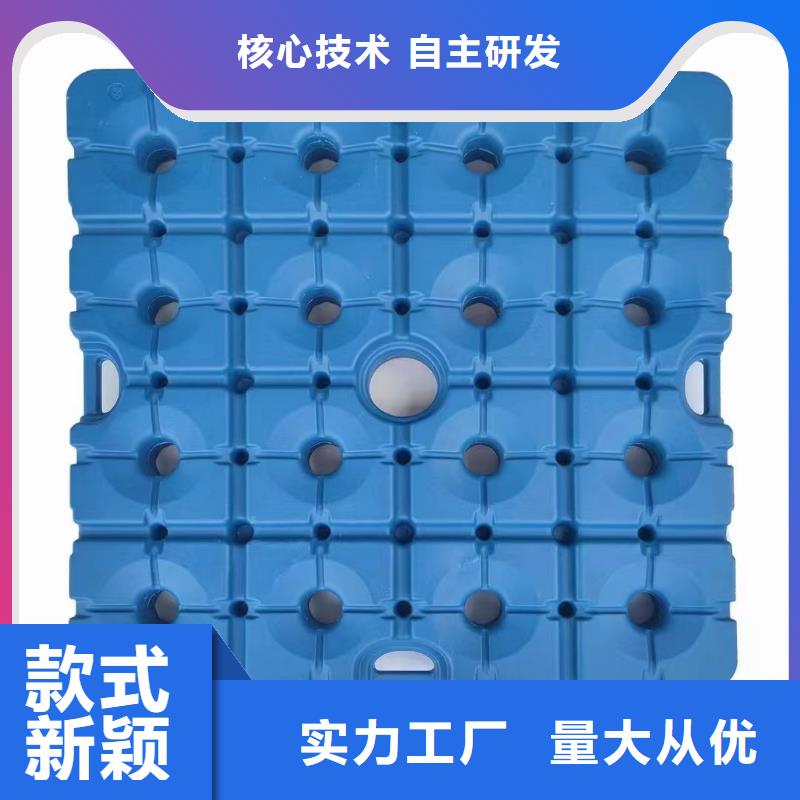 塑料托盘,加厚塑胶地台板好厂家有担当