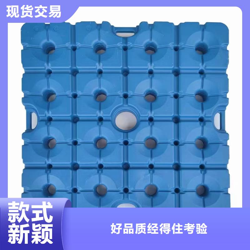 塑料托盘蓝色塑料田字卡板品质值得信赖