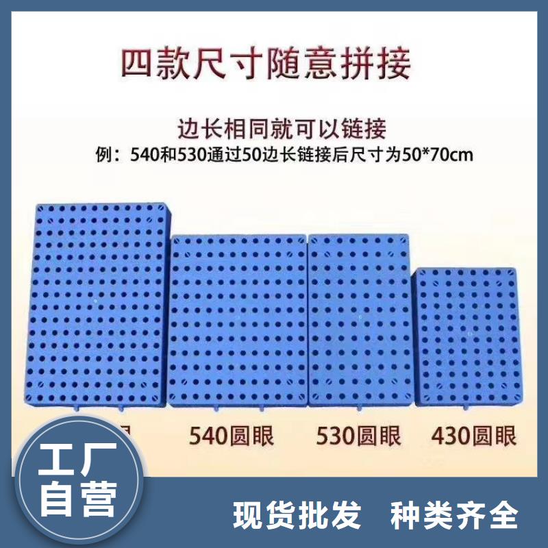 塑料托盘热处理木托盘厂诚信经营