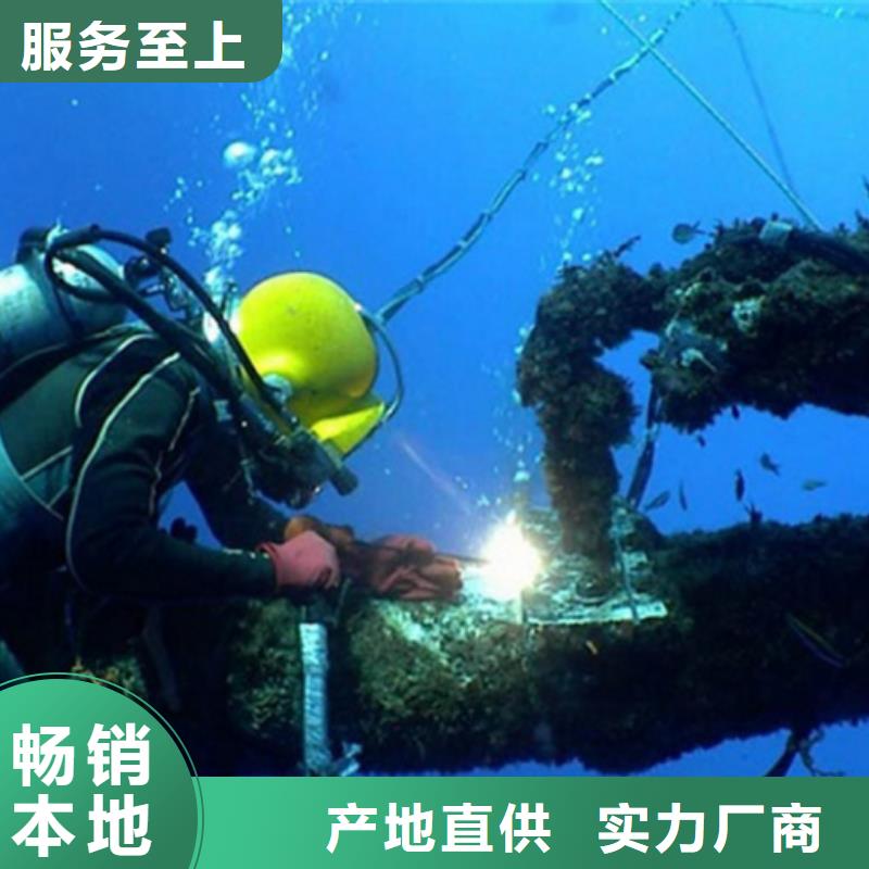 水下闸门检修认准实力工厂