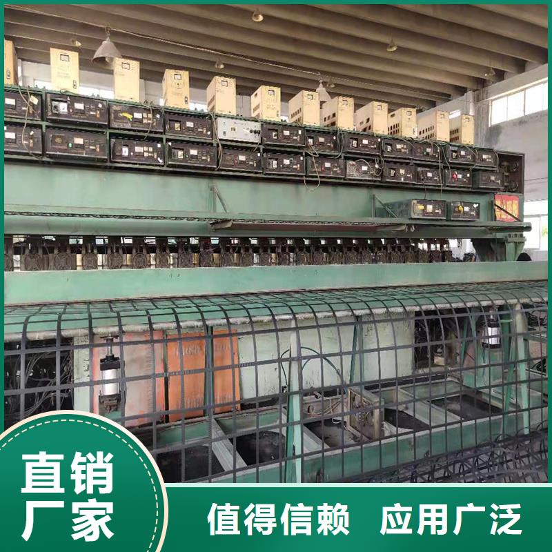 塑料双向土工格栅规格