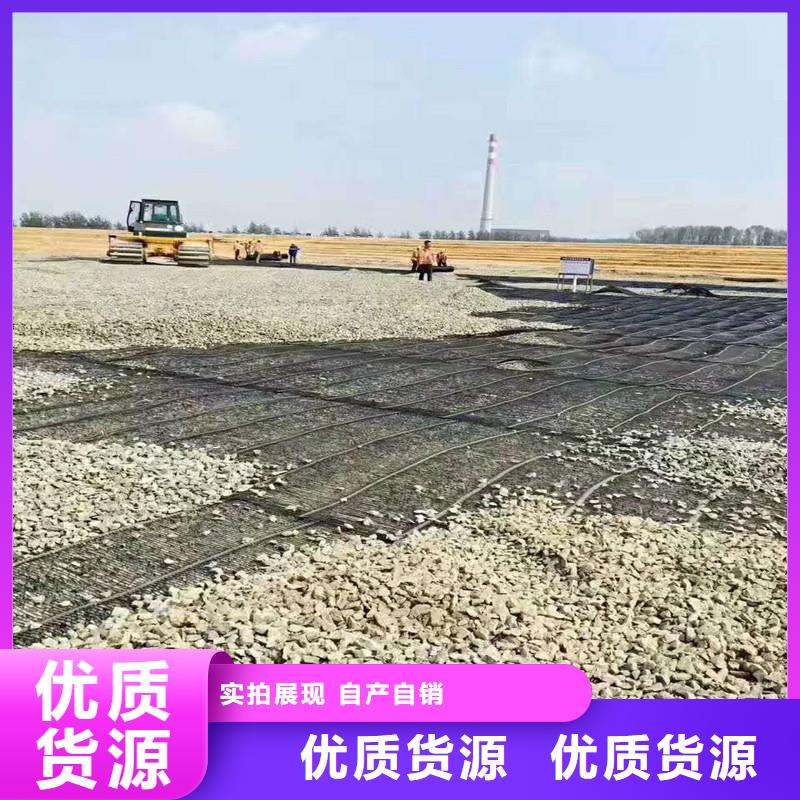 土工格栅\抗裂贴土工网垫颜色尺寸款式定制