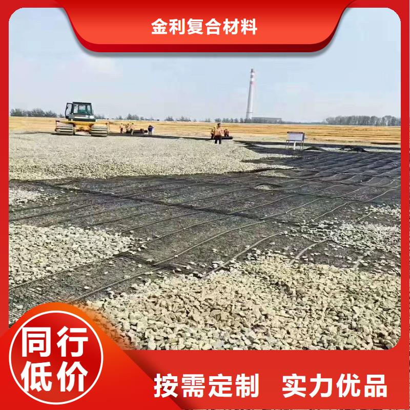 土工格栅\抗裂贴 【双向塑料土工格栅】价格合理