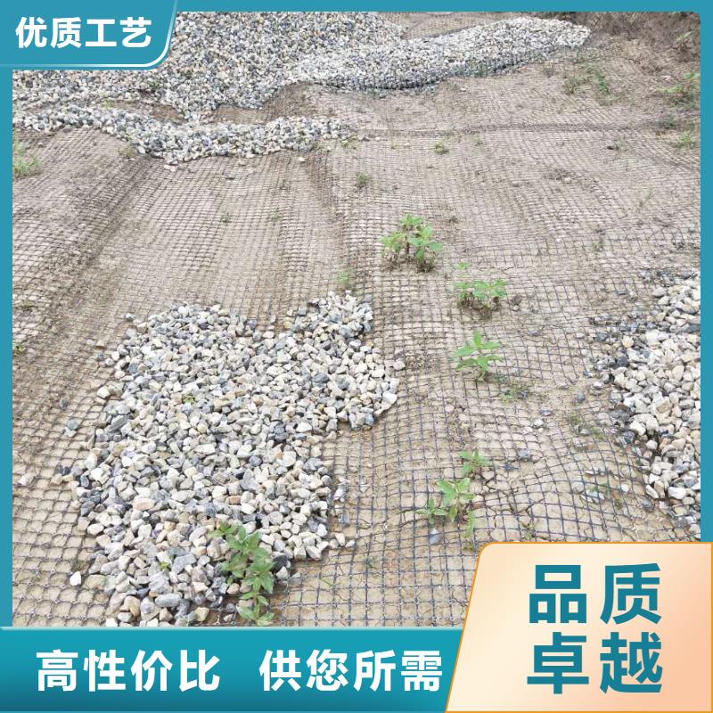土工格栅\抗裂贴 【双向塑料土工格栅】价格合理