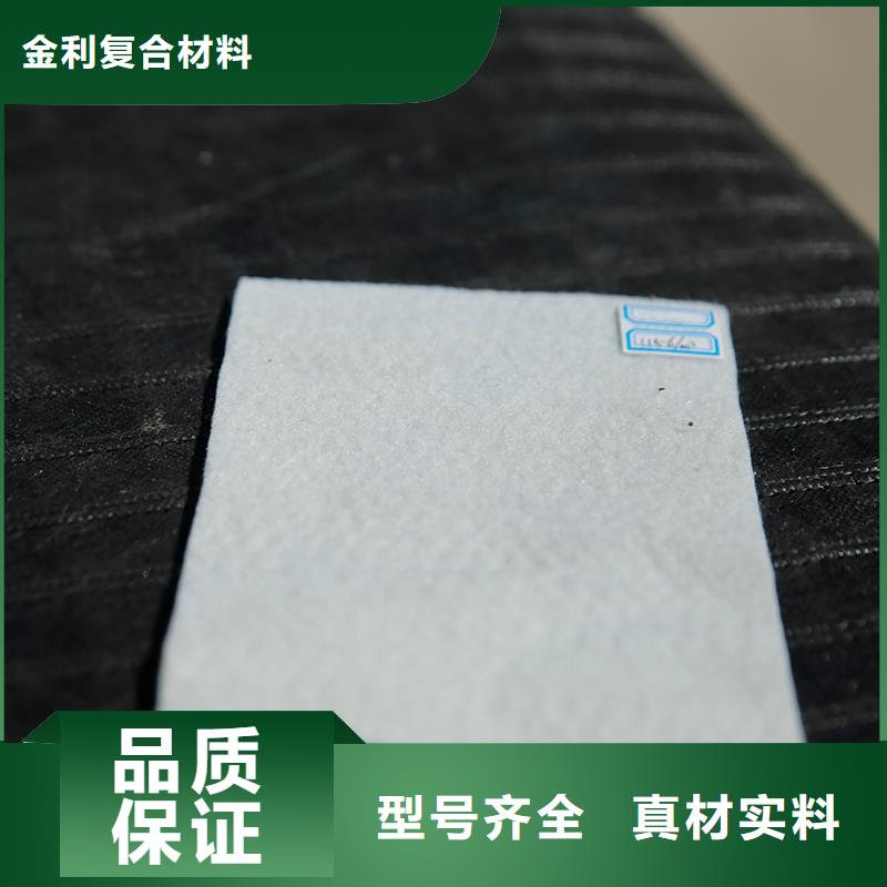 土工布双向土工格栅今日价格