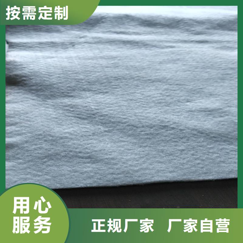 土工布双向塑料土工格栅厂家型号齐全