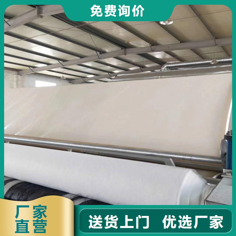 【土工布】-土工格栅原厂制造当地品牌