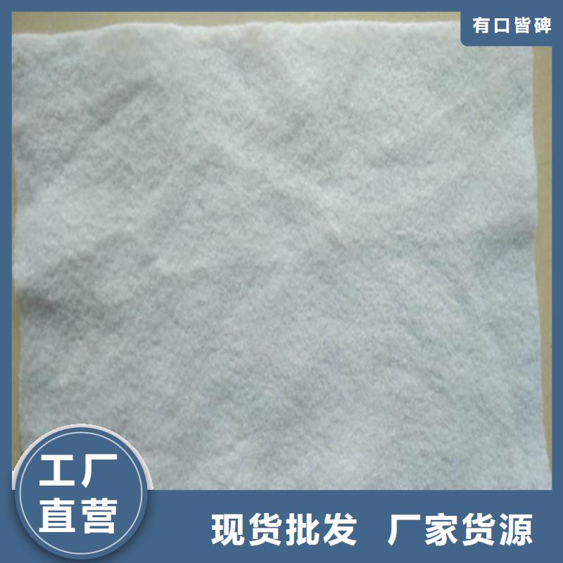 土工布钢塑土工格栅好品质用的放心