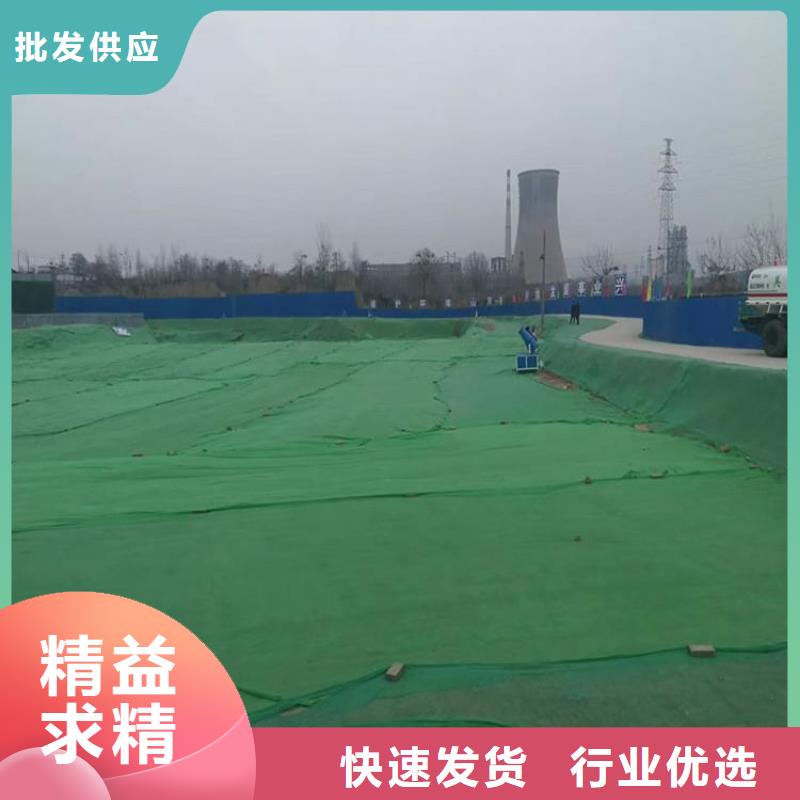 土工布矿用格栅型号全价格低