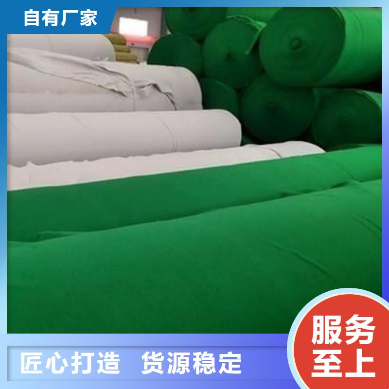 土工布-生态带品质商家