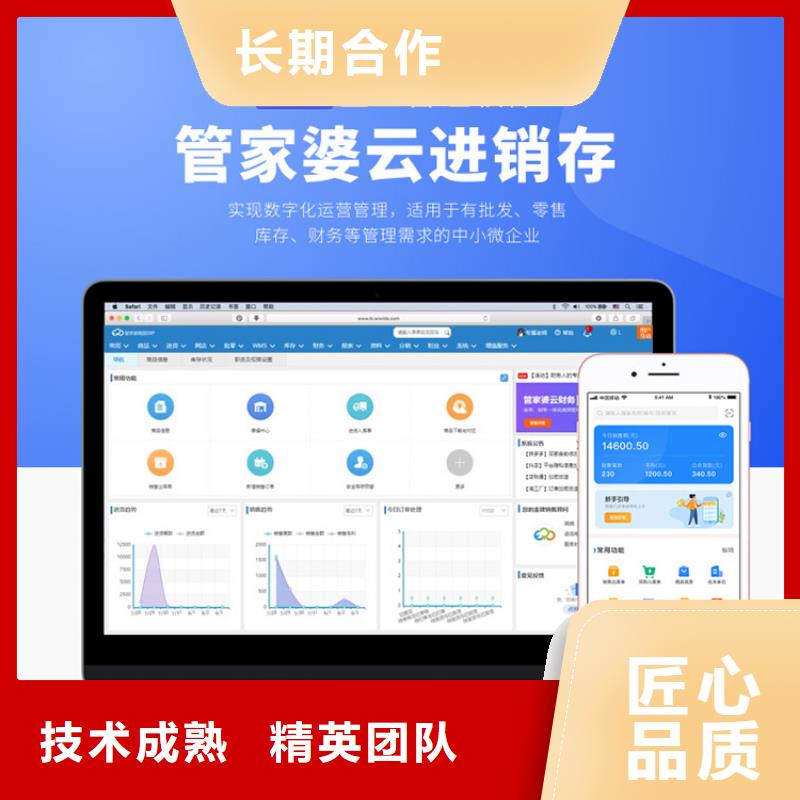 软件仓储管理系统实力团队