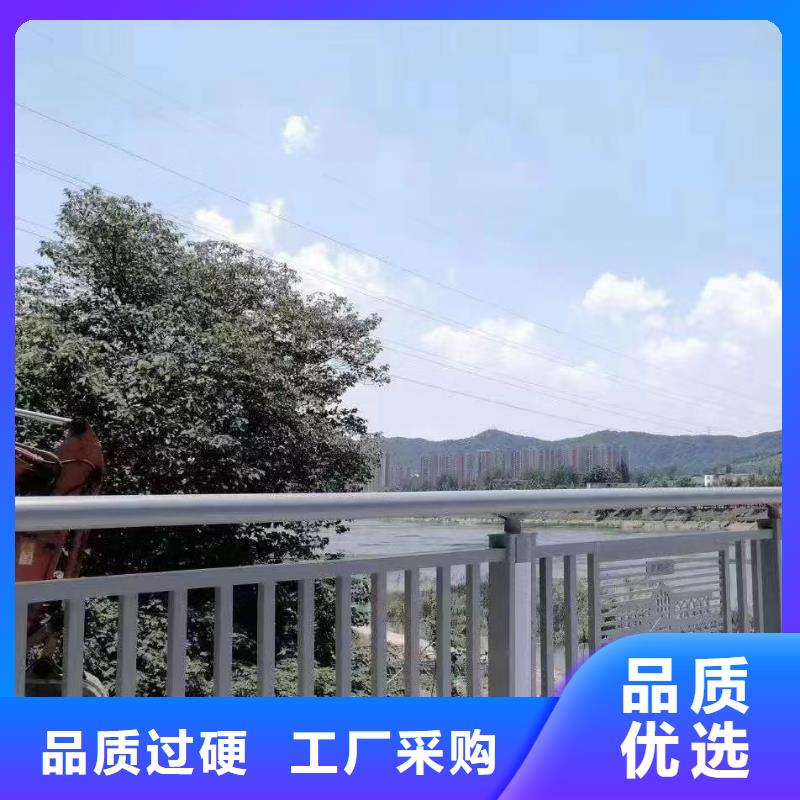 人行道护栏,城市不锈钢厂专注品质