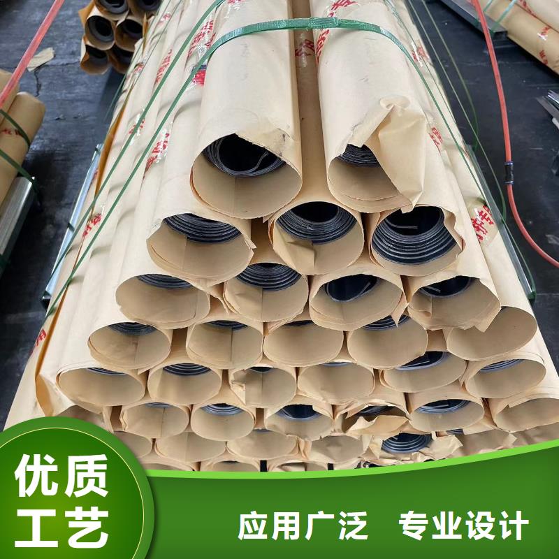 铅门医用射线防护电动门源头实体厂商