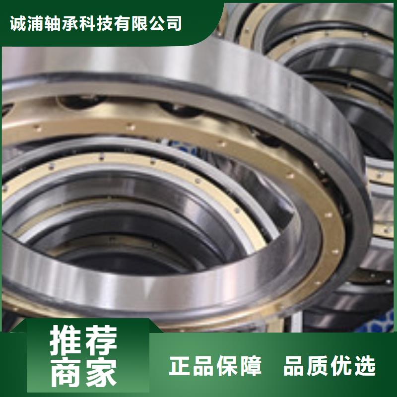 618/900铁封深沟球轴承