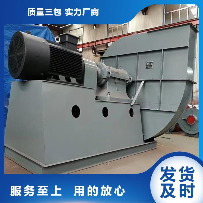 #复合肥专用尾气风机三叶罗茨鼓风机硫化风机氧化风机燃烧器专用风机山东立通风机厂家