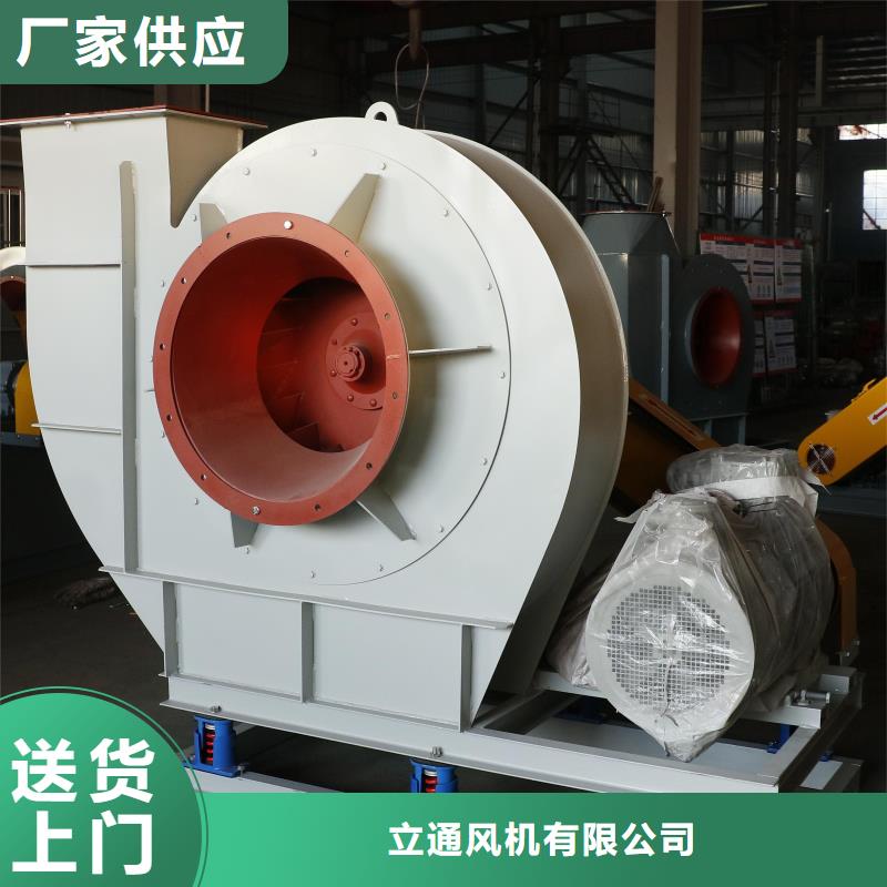#复合肥专用尾气风机三叶罗茨鼓风机硫化风机氧化风机燃烧器专用风机山东立通风机厂家
