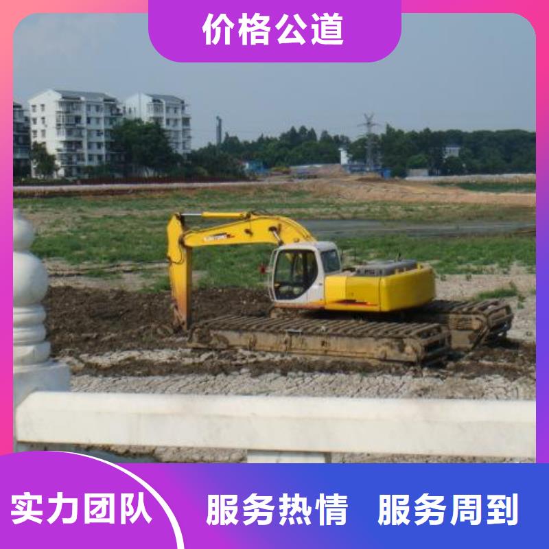 水陆两用挖机租赁大图