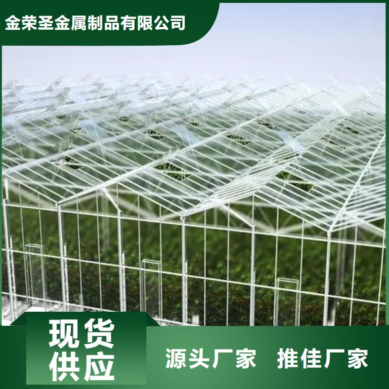 晋州市西瓜草莓葡萄火龙果大棚直销价格