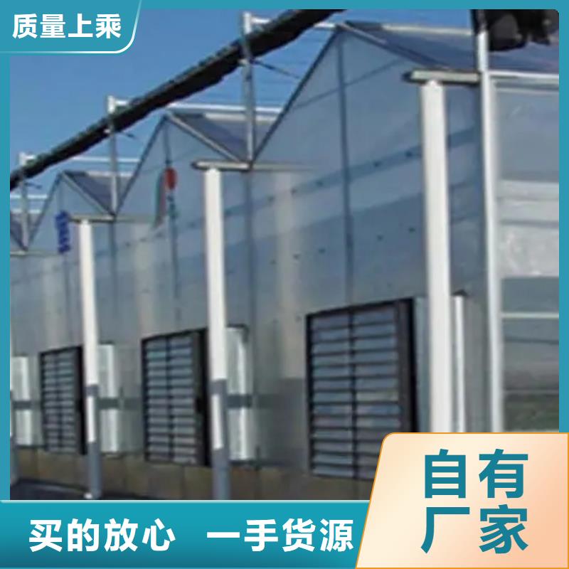 晋州市西瓜草莓葡萄火龙果大棚直销价格