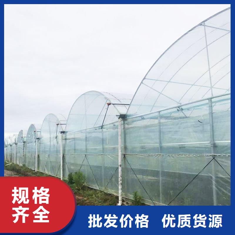 中草药大棚源头厂家金荣圣大棚