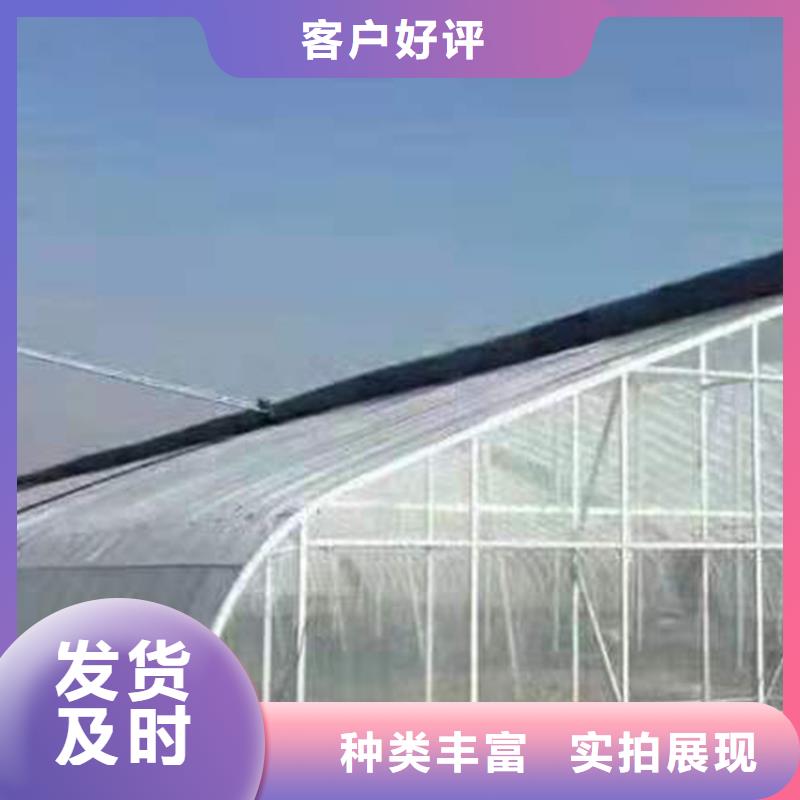 北镇市西瓜草莓葡萄火龙果大棚欢迎电询