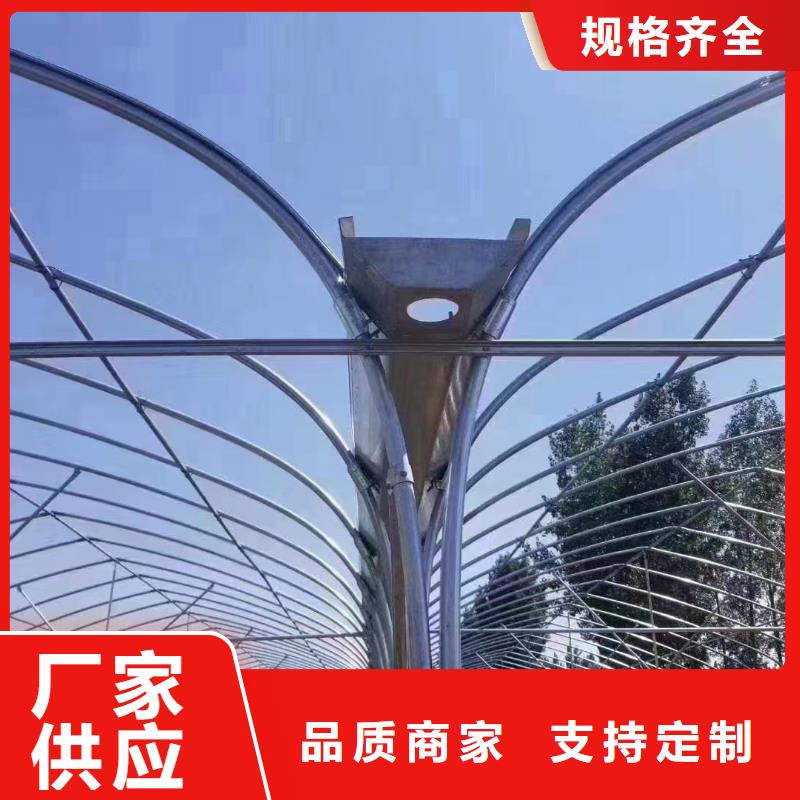 临邑县大棚铝合金卡槽尺寸理论重量10年经验金荣圣温室