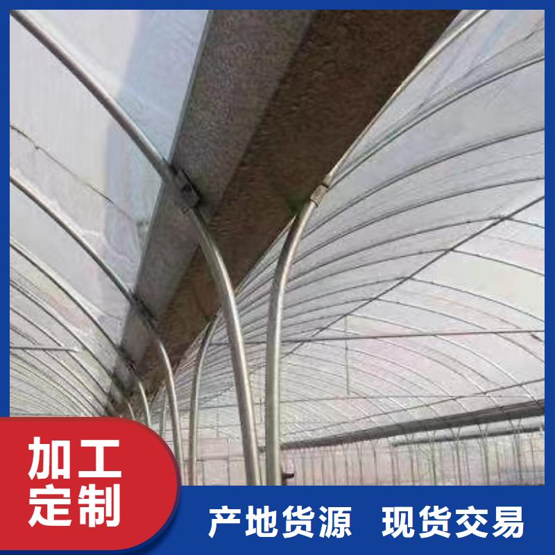 环翠区葡萄大棚专用膜出厂价格2025乡村振兴计划