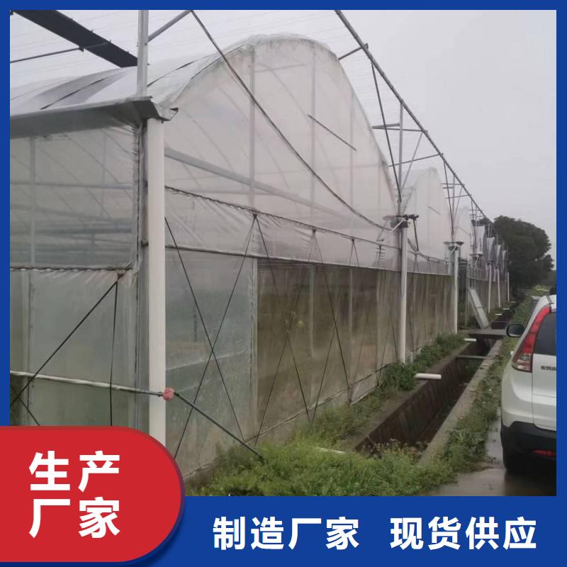环翠区葡萄大棚专用膜出厂价格2025乡村振兴计划