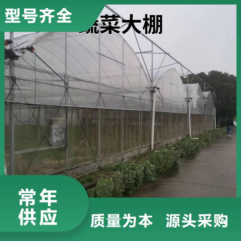 环翠区葡萄大棚专用膜出厂价格2025乡村振兴计划