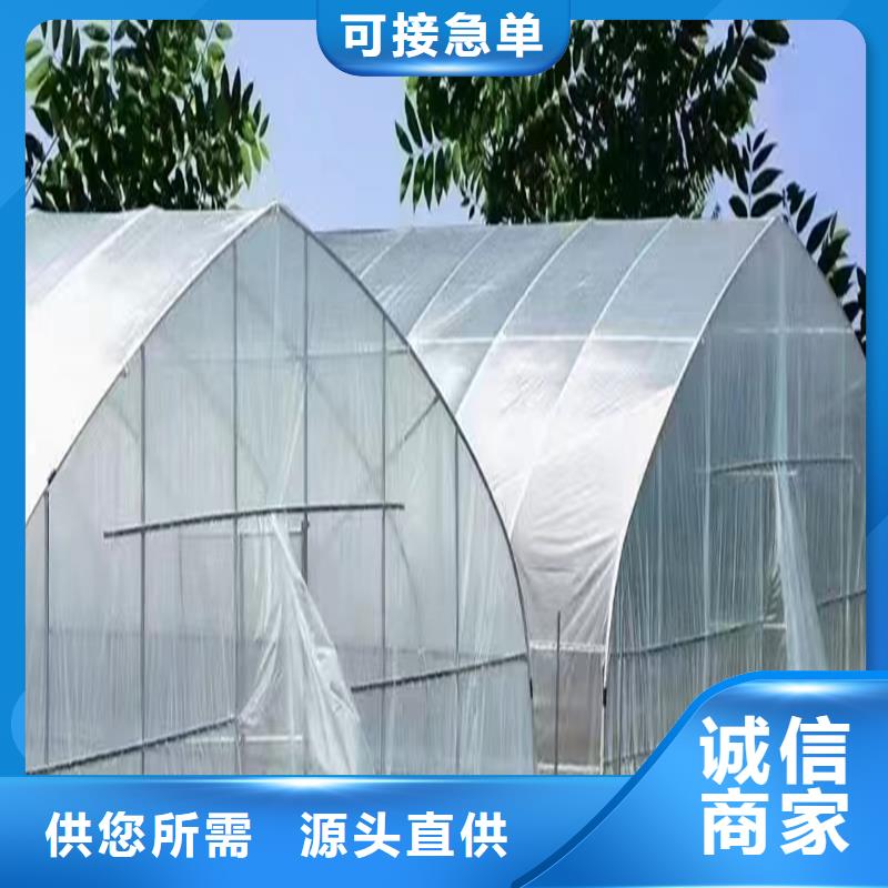 广东省汕头外砂街道养殖大棚椭圆管品质保证