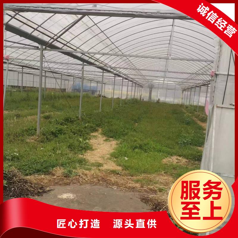 潍城区养殖大棚厂家现货