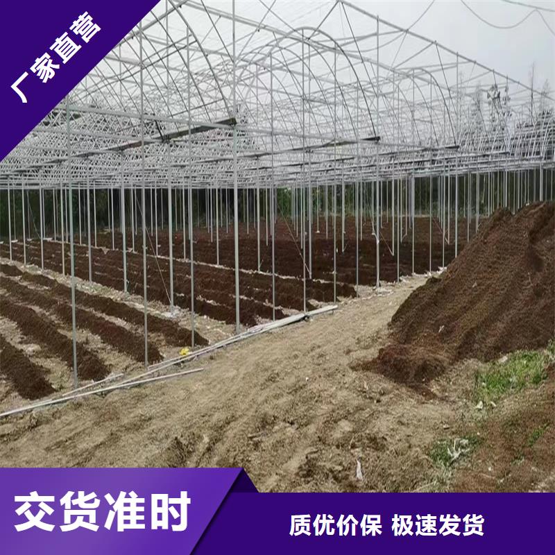 通风气楼厂家良心厂家