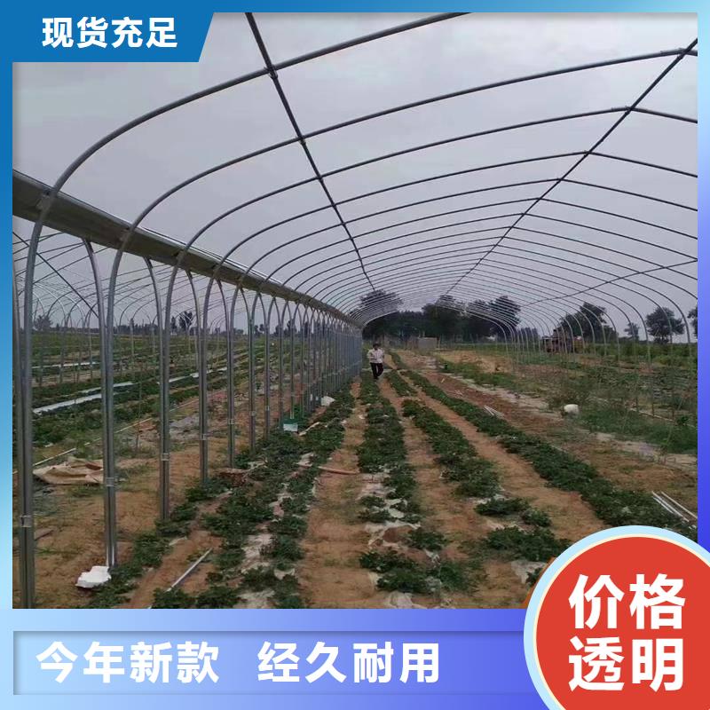 深泽县4分6分1寸蔬菜大棚管采购价格
