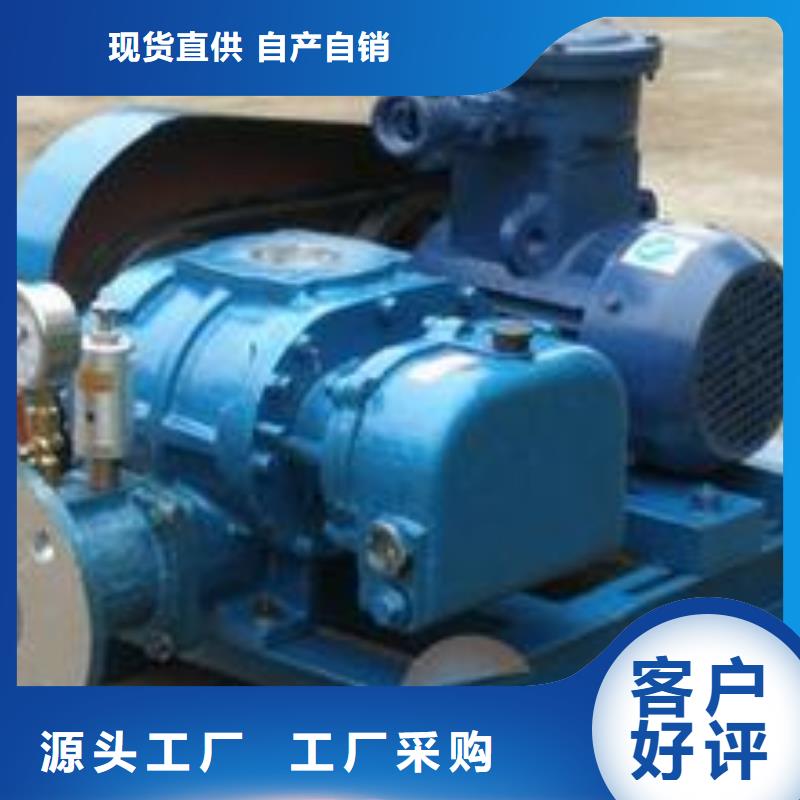 山东临风科技股份两叶罗茨风机LFSR100