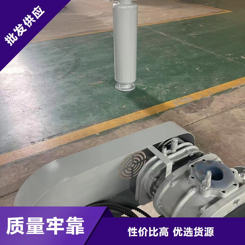 山东临风科技股份洗煤专用罗茨风机LFSR150