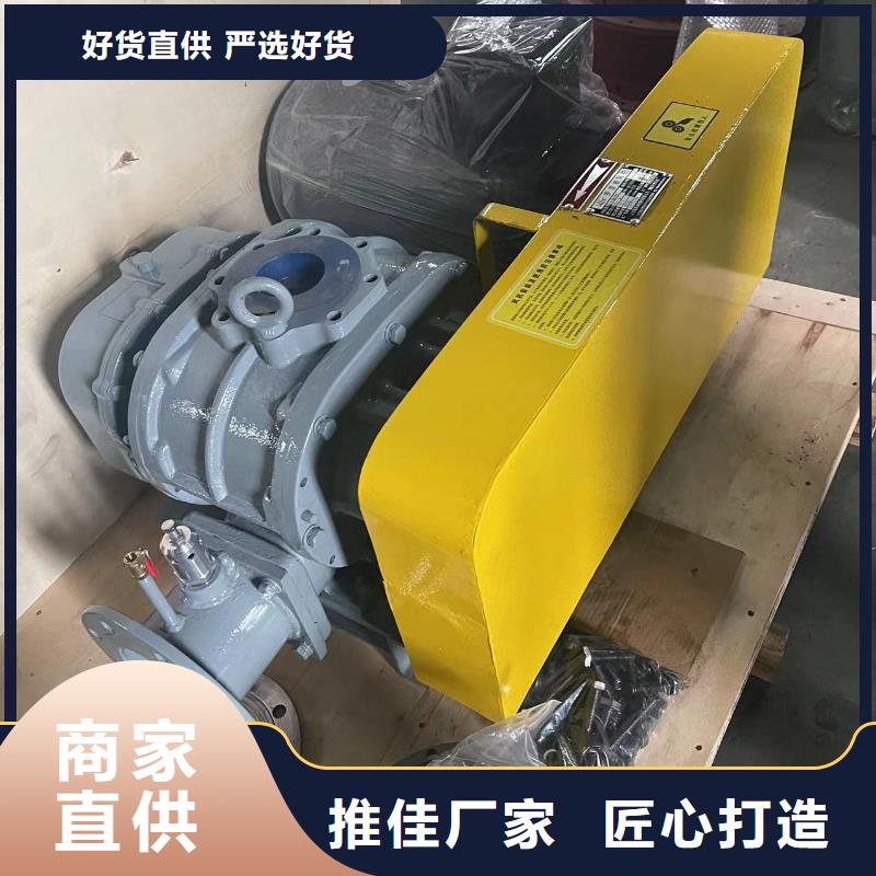 效率高两叶罗茨风机LFSR125