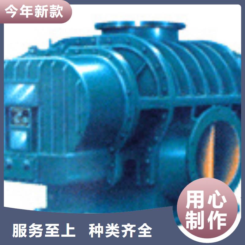 山东临风科技股份两叶罗茨风机LFSR100