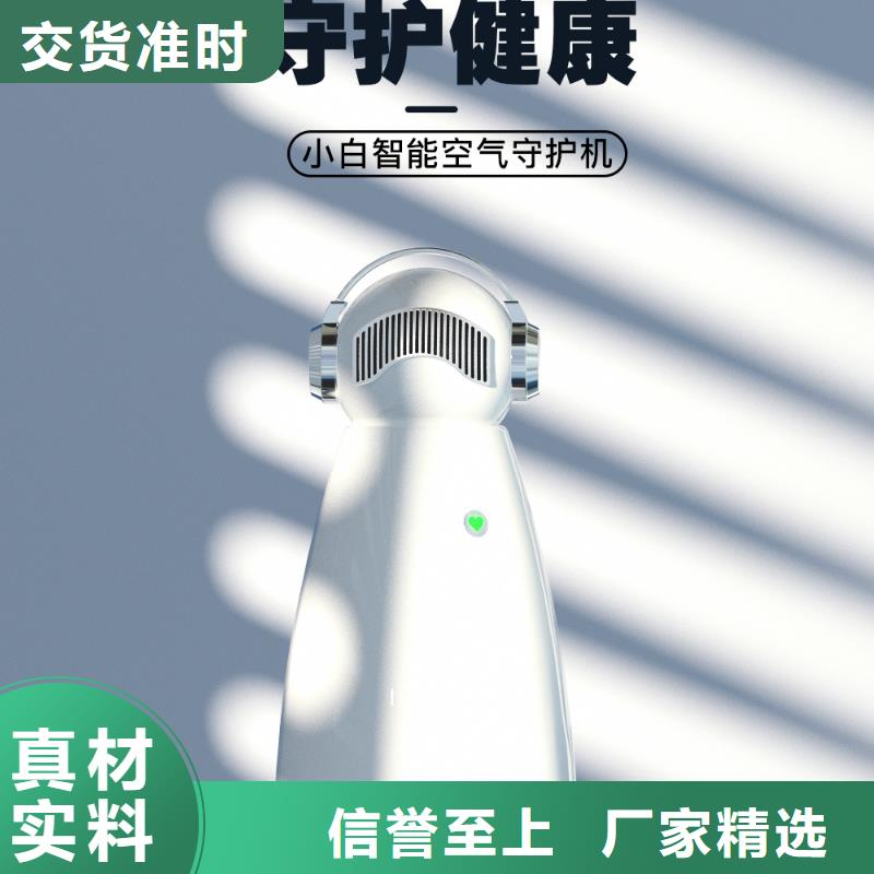 空气净化器小白祛味王现货批发本地厂家值得信赖
