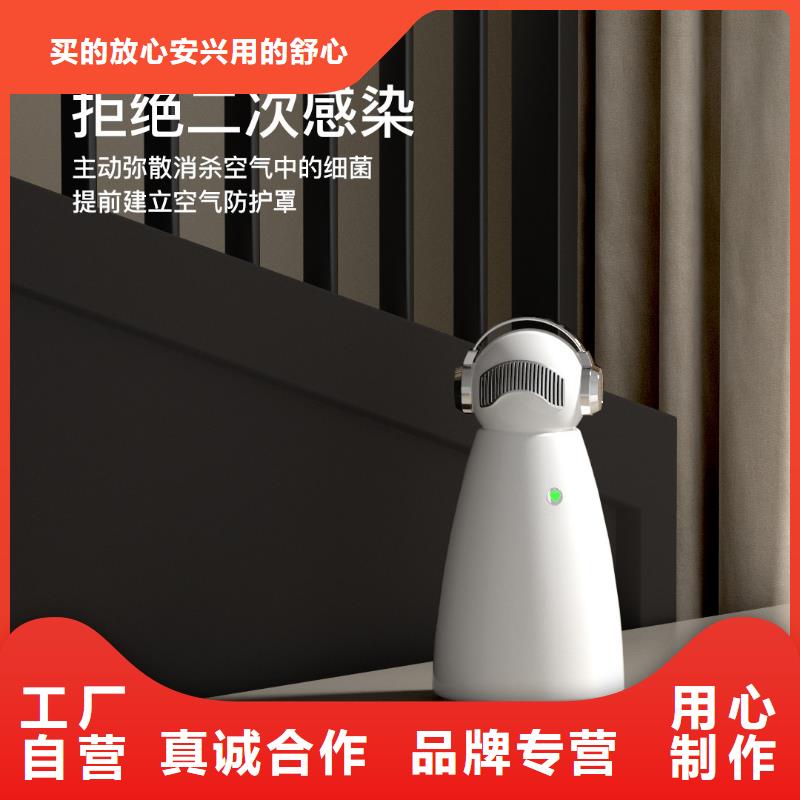 【深圳】专业除甲醛家用无臭养宠