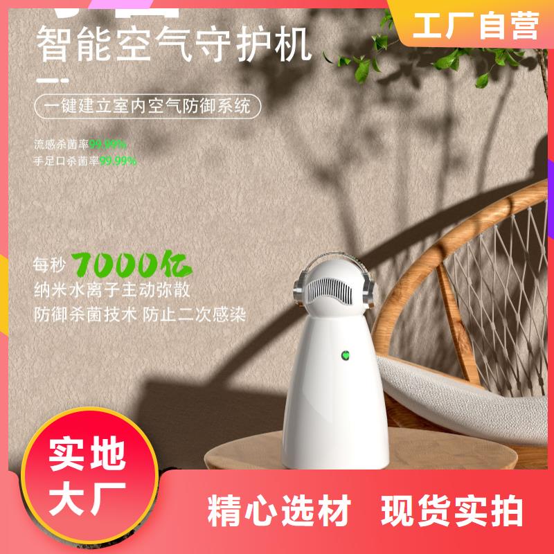 空气净化器小白祛味王现货种类齐全