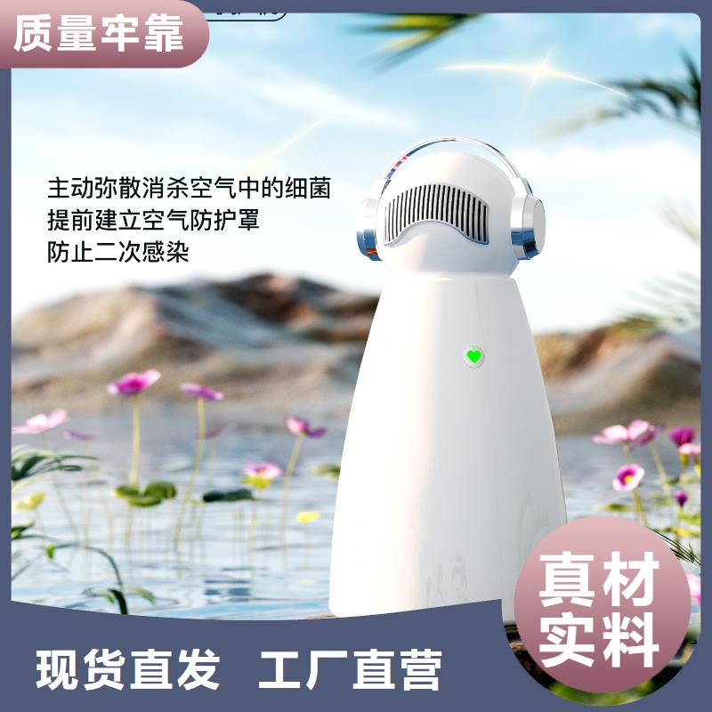 空气净化器小白祛味王销售热线细节决定品质