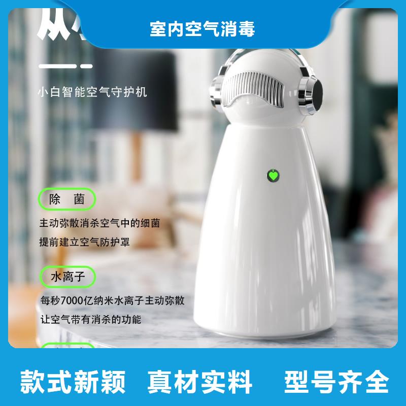 【深圳】室内除异味好物多宠家庭必备