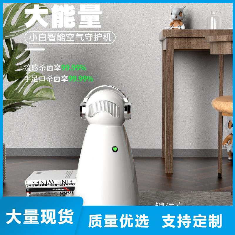 小白祛味王小白空气守护机器人销售定制速度快工期短