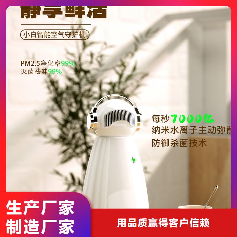 小白祛味王小白空气守护机支持定制加工