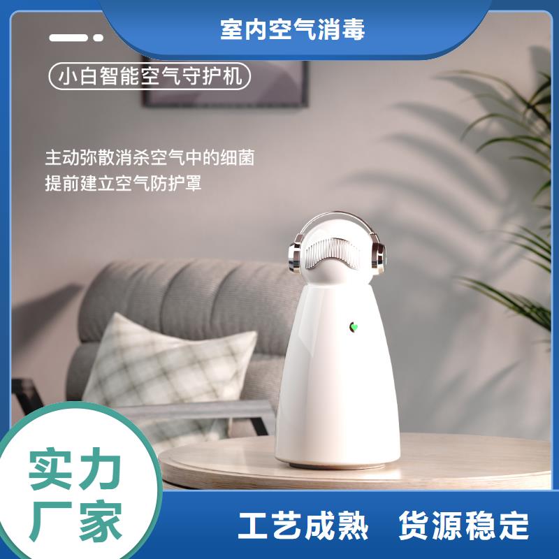 小白祛味王室内消毒诚信经营现货现发