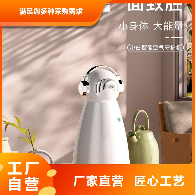 小白祛味王室内消毒诚信经营现货现发