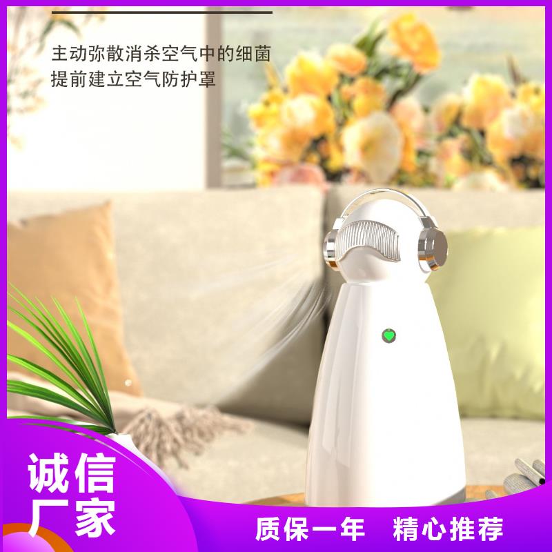 【小白祛味王】批发小白祛味王严选用料