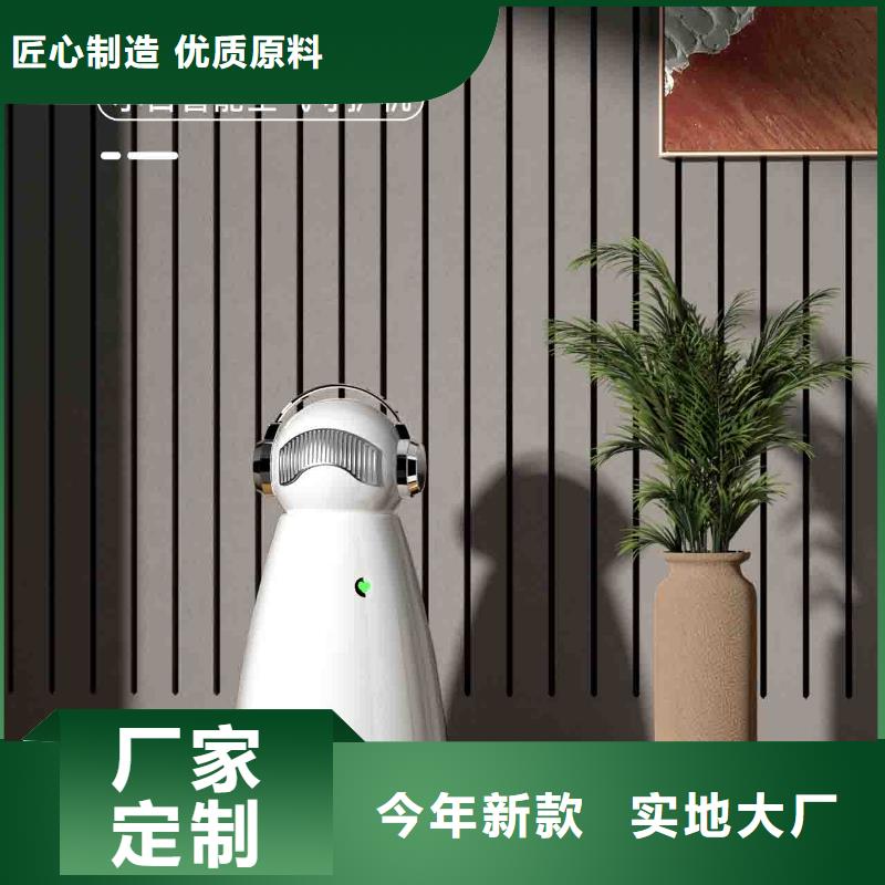 小白孕妇空气守护机车载空气净化器销售热线真材实料加工定制